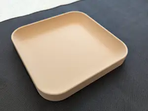 Catch all tray