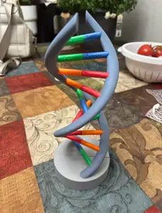 DNA Model-Multi-Color & Friction Fit