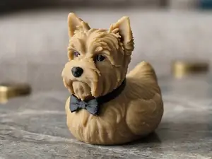 Male Yorkshire Terrier, York, Cruise Jeep Duck