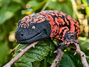 Realistic Articulated Gila Monster