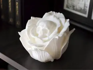Skull Rose
