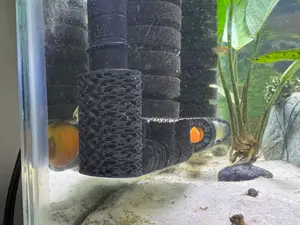 Aquarium Shrimp/Fry prefilter for Fluval aquaclear