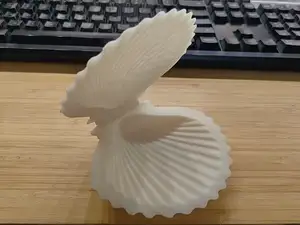 shell box
