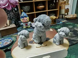 小狗 贵宾犬 灰泰迪犬 歪头杀