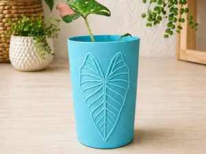 Pflanztopf Alocasia Platinum
