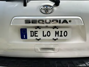 EU License Plate to US Car Adapter