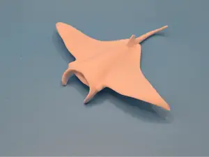 Manta Ray – Ocean Animal Tiere aus aller Welt