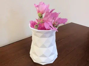 Vase Low Poly