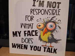 Sarcastic bird - Not responsible - Hueforge