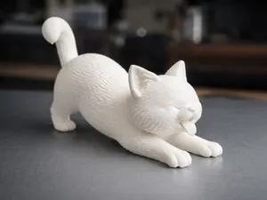 Cute cat