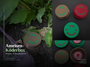 Ameisen-Köderbox - Modular & Haustiersicher