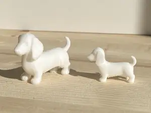 Mini Dachshund Dog
