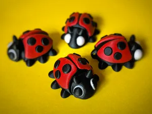 Flexi Ladybug