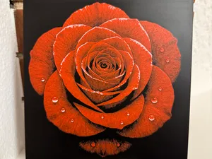 Rose HueForge