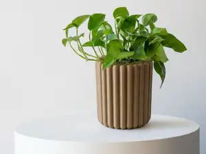 Groove & Grow: Minimalist Ribbed Planter
