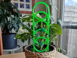 Geometric Ring Plant Trellis / Support