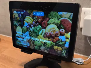 3D Model Alexa Show Mount