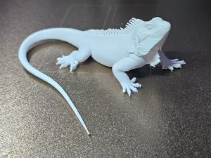 Grüner Leguan - Tiere aus aller Welt