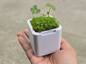 参数化青苔养殖自吸盆