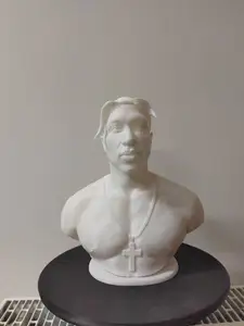 2Pac bust