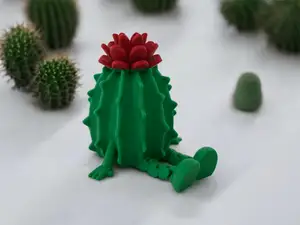 Valentine´s Cactus BUDDY - Articulated legs