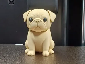 Cute Pug Puppy
