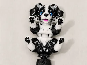 flexi border collie / australian shepherd