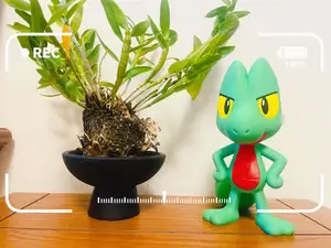 宝可梦——木守宫(分色组装 )Treecko Pokémon