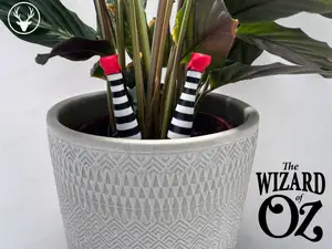 Wicked Witch Plant Pot Legs