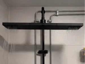 Shower head for both of you