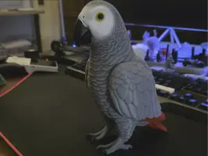 African Grey Parrot - Lifesize Split model