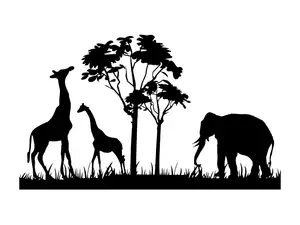 Safari