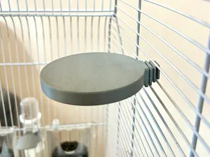 Bird Cage – Platform Perch