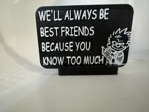 Funny Sign- Best Friend -you know too much