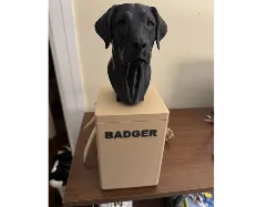 Lab Urn