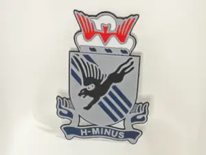 505th Parachute Infantry Regiment Unit Crest