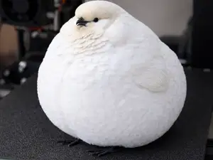 FAT Bird