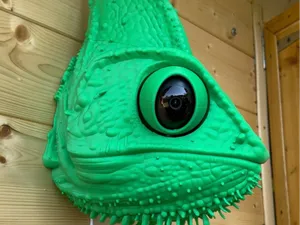 Chameleon Surveillance Camera