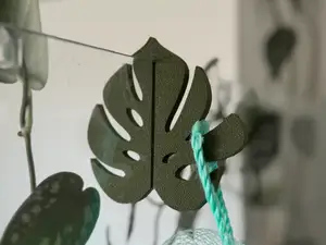 Monstera Leaf Shower Hook
