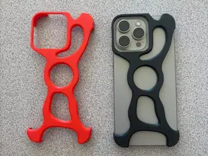 iPhone 16 Pro Max Skeleton Case