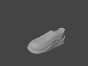 shoe