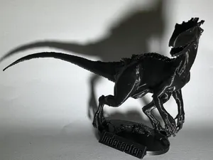 IndoRaptor (JW)