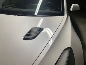 Bonnet air intakes
