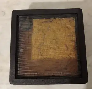 Mini Terrarium for Feeder Insects