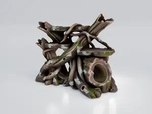 Twisted Tree Roots Hide | Tropical Rainforest