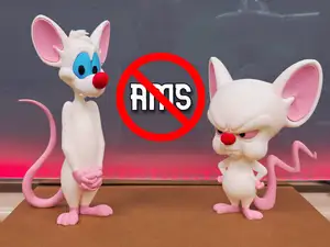 Pinky and the Brain / NO AMS