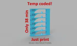 PETG temp tower 220 up to 245