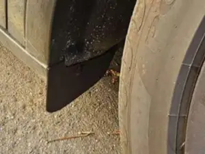 Tesla Model Y Mudguards Legacy & Juniper