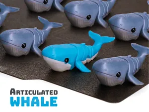 Articulated Whale - Flexi