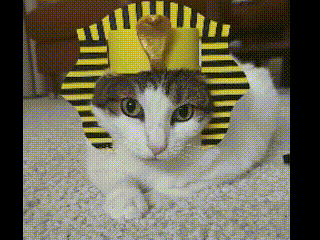Egyptian Cat Hat / Sphinx Hat / Halloween Costume